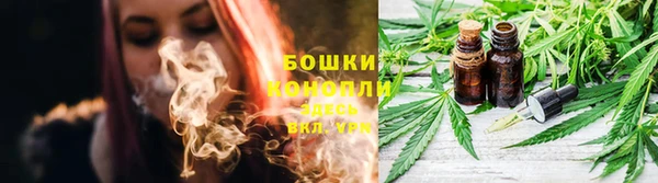 Альфа ПВП Калининец