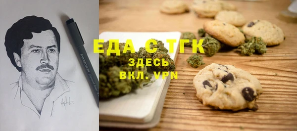 стаф Алексин