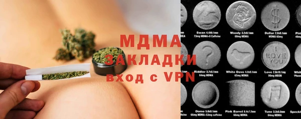 стаф Алексин