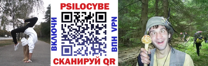 Галлюциногенные грибы Magic Shrooms  shop официальный сайт  Игра  сколько стоит 